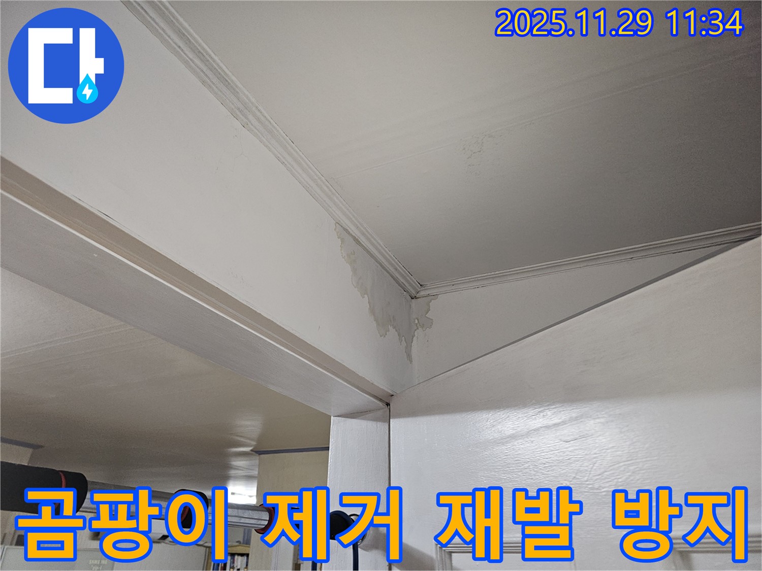 파주 광탄 누수 - 곰팡이 꽃 핀 천장, 완벽 제거 & 재발 방지로 쾌적하게!