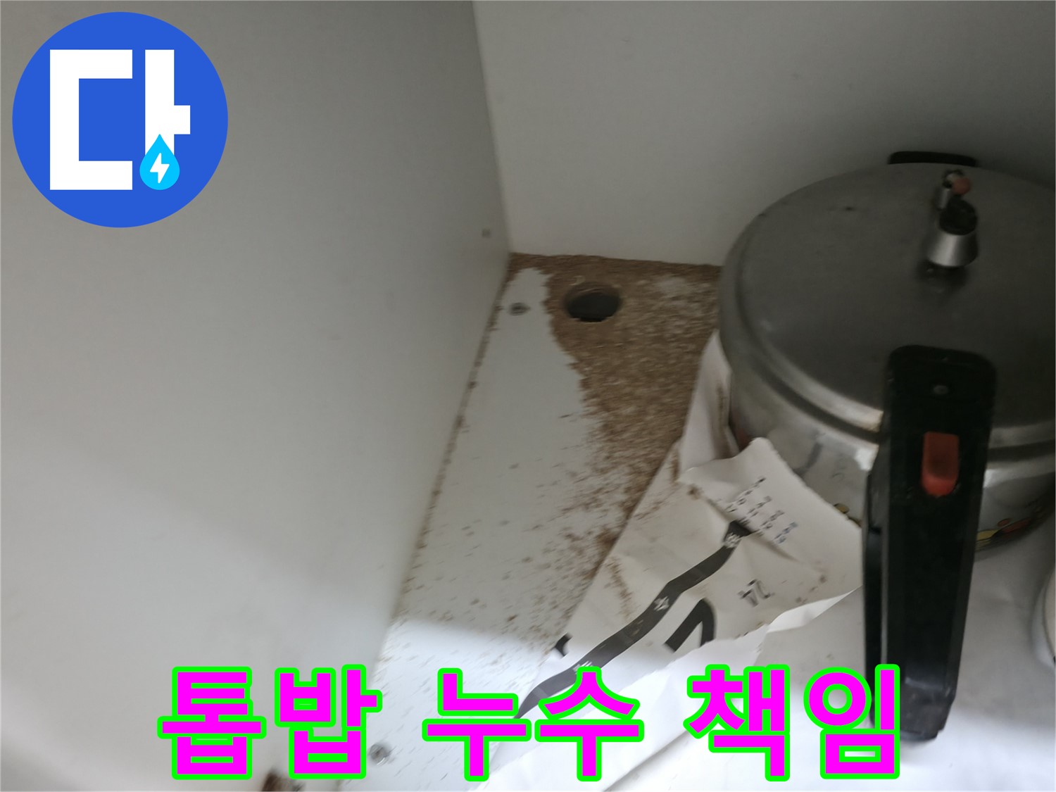 싱크대 하부 - 합판 곰팡이 - 습기 - 빠른 해결