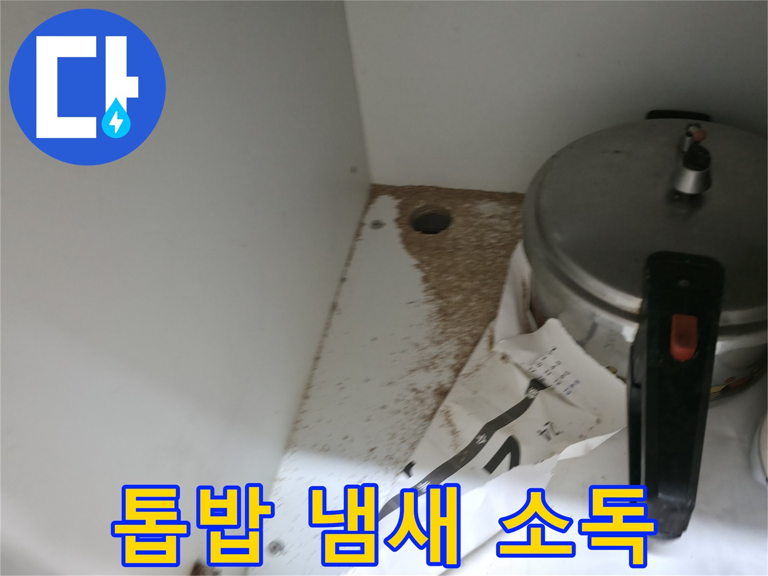 싱크대 누수 - 톱밥 - 최신 장비 - 정확한 누수 진단