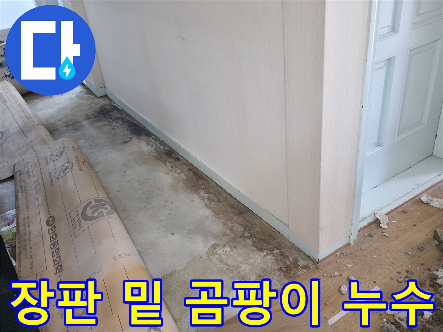 서초2동 주택 누수 현장 - 장판 밑 곰팡이는 누수의 확실한 증거입니다.