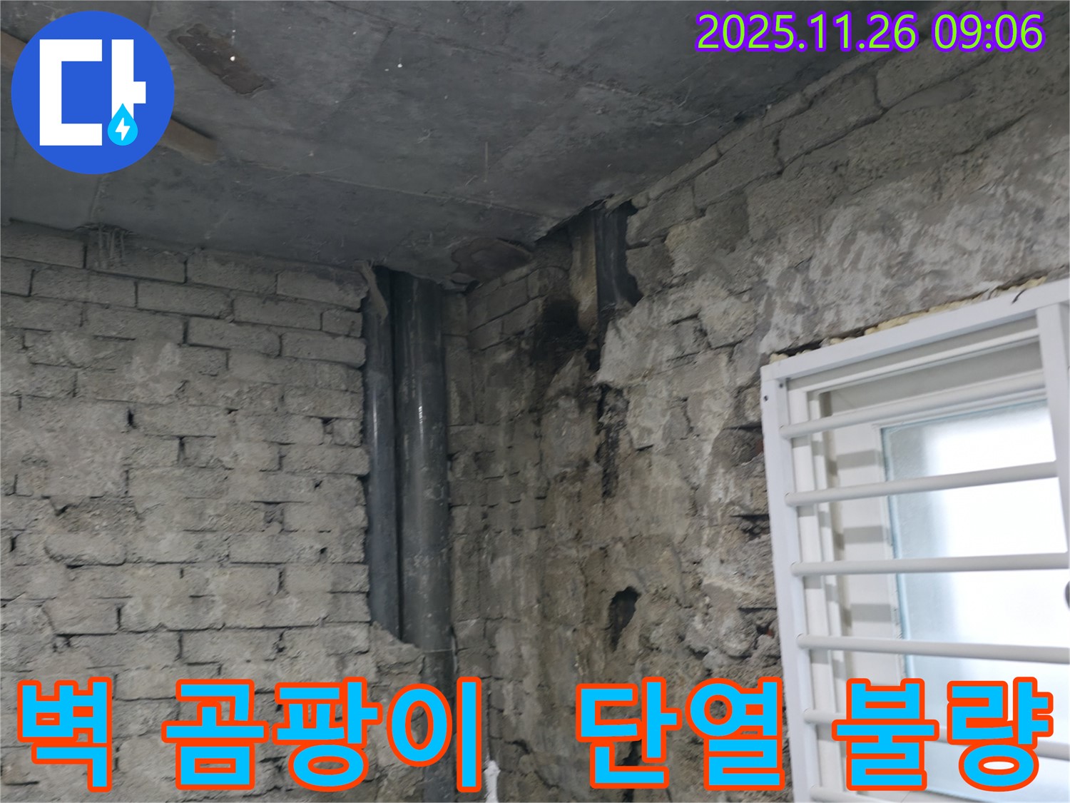 서초구 명달로4길 - 건물 벽 곰팡이 - 누수와 단열 불량의 합작품 - 곰팡이 발생 원인 분석