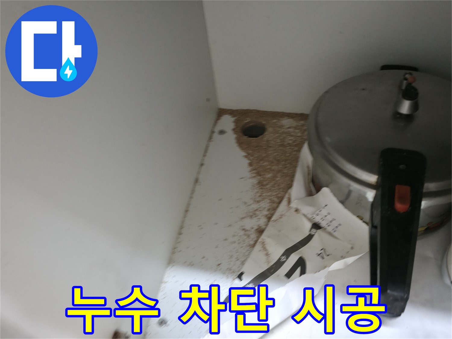 싱크대 밑 - 톱밥 - 나무 썩음 - 누수 해결 전문가