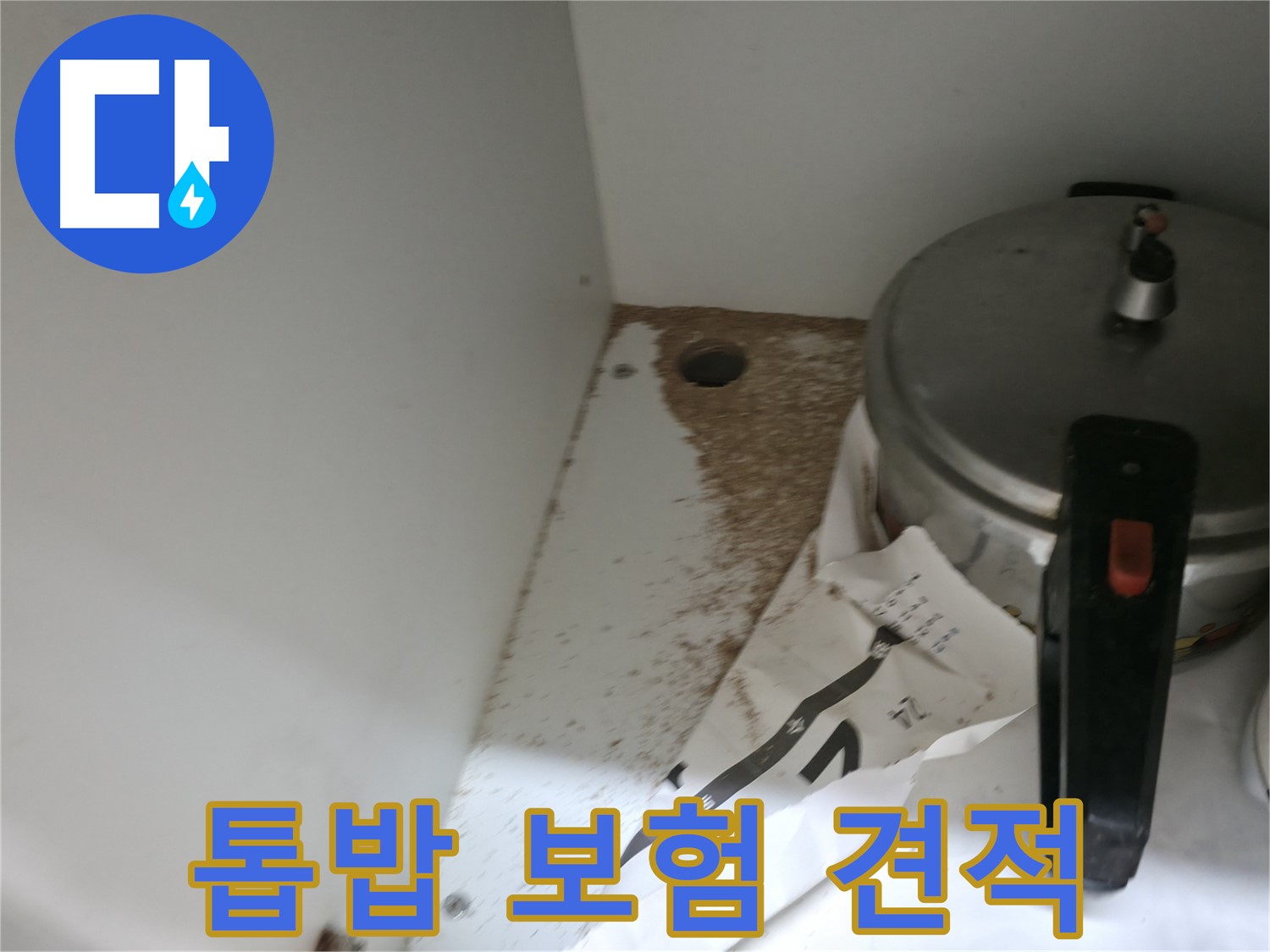 싱크대 밑 - 톱밥 - 세균 번식 - 위생 문제 심각