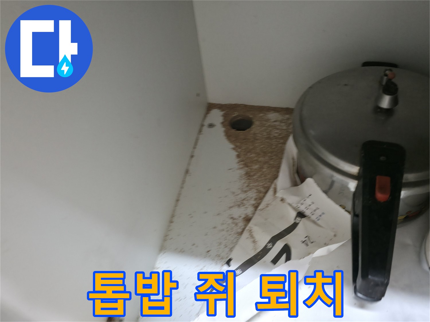 서초구 명달로4길 싱크대 누수 - 톱밥, 쥐똥 발견 완벽 퇴치 & 철저 위생 관리