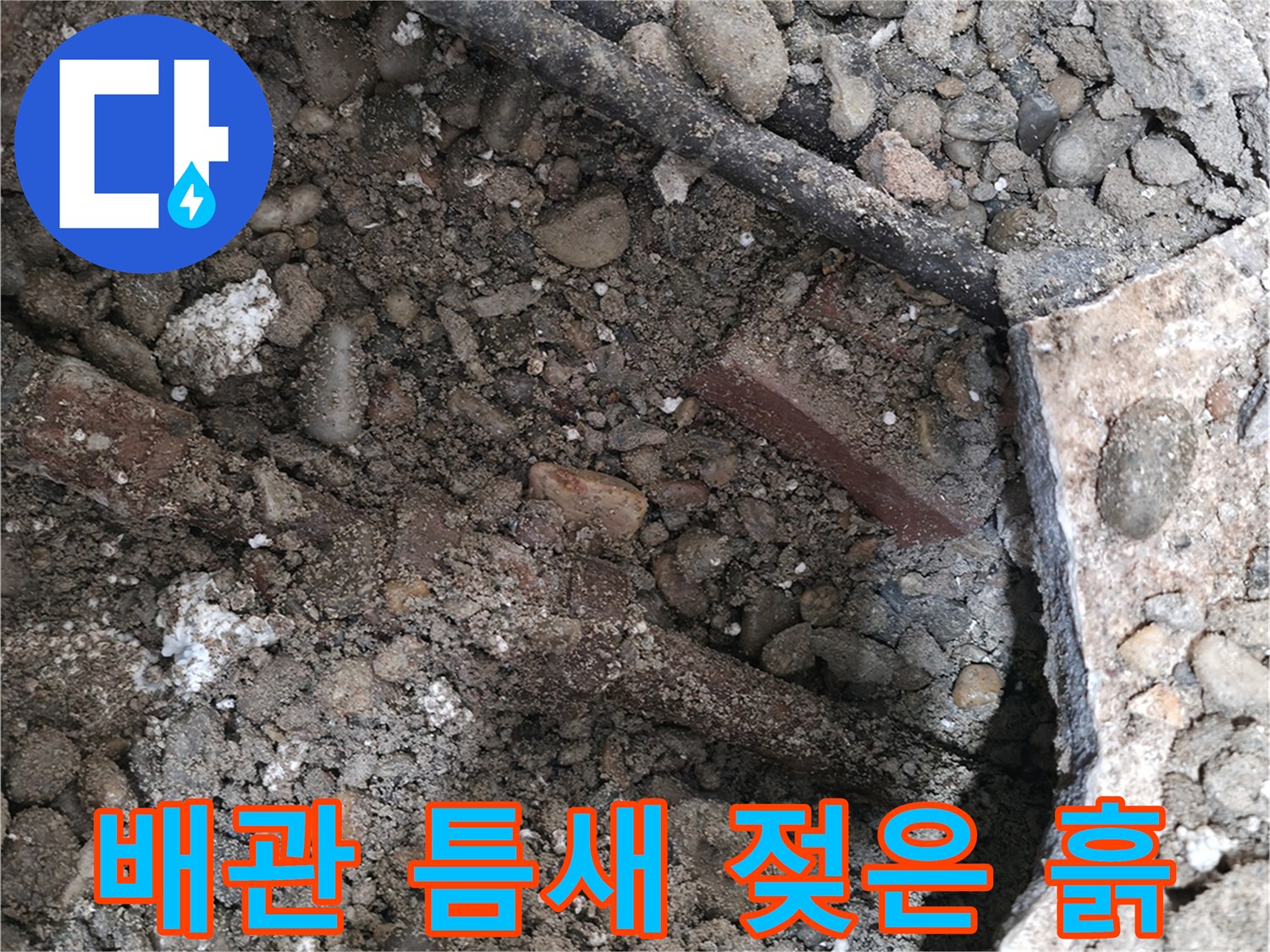 서초구 명달로4길 주택 누수 현장 - 낡은 배관, 콘크리트 틈새, 젖은 흙 - 누수의 3중고를 보여줍니다.