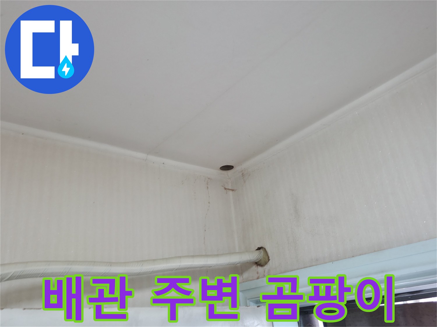 서초구 서초2동 누수 - 배관 주변에 곰팡이가 있다면, 건강을 위협하는 심각한 문제일 수 있어요.