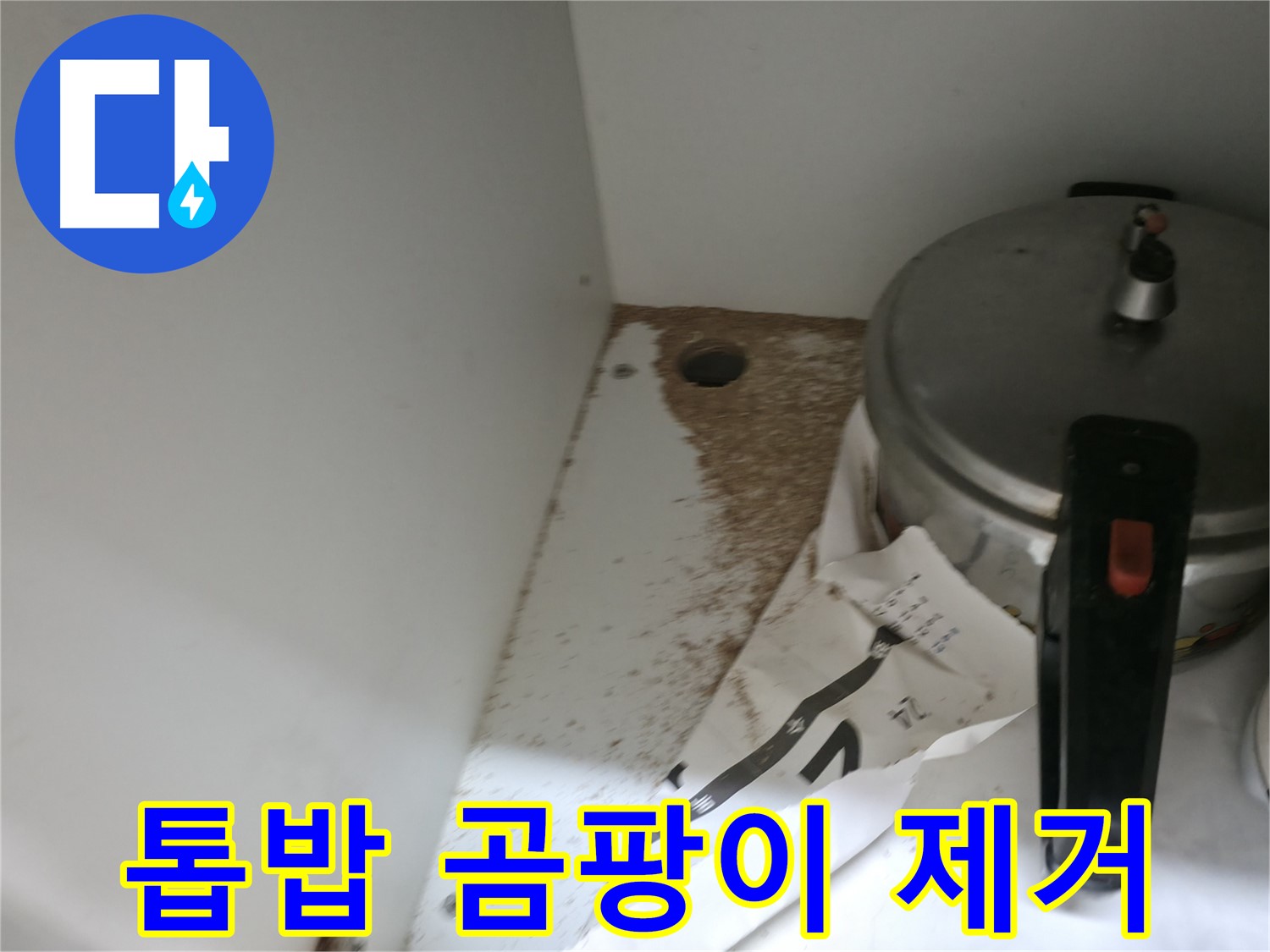 싱크대 밑 - 톱밥 - 악취 발생 - 쾌적한 주방 되찾기