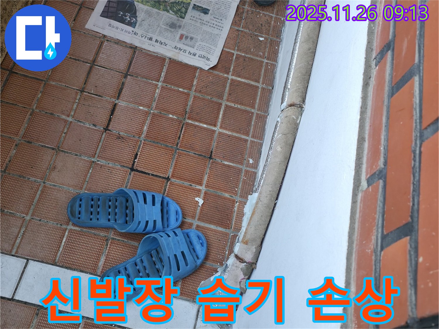서초구 서초동 현관 누수 현장 - 신발장 습기로 인한 신발 손상 및 악취 발생