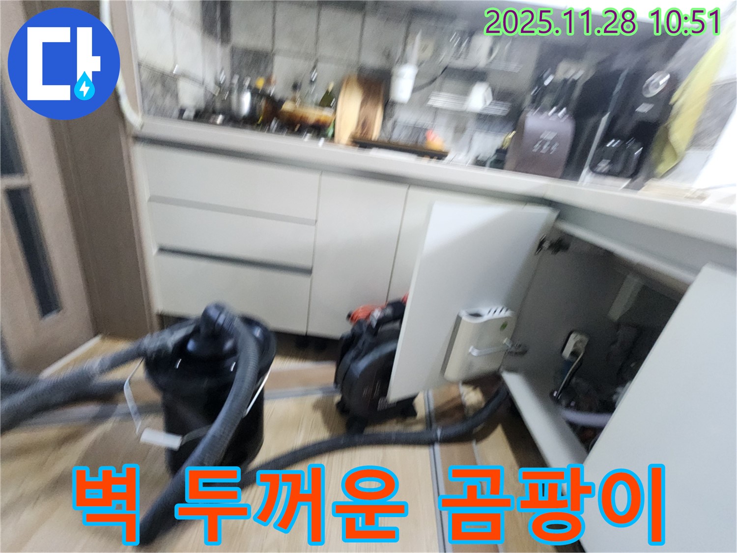 경기도 포천시 신북면 금동리 - 싱크대 하부장 안쪽 벽면에 곰팡이 솜처럼 두껍게 덮인 상태 확인