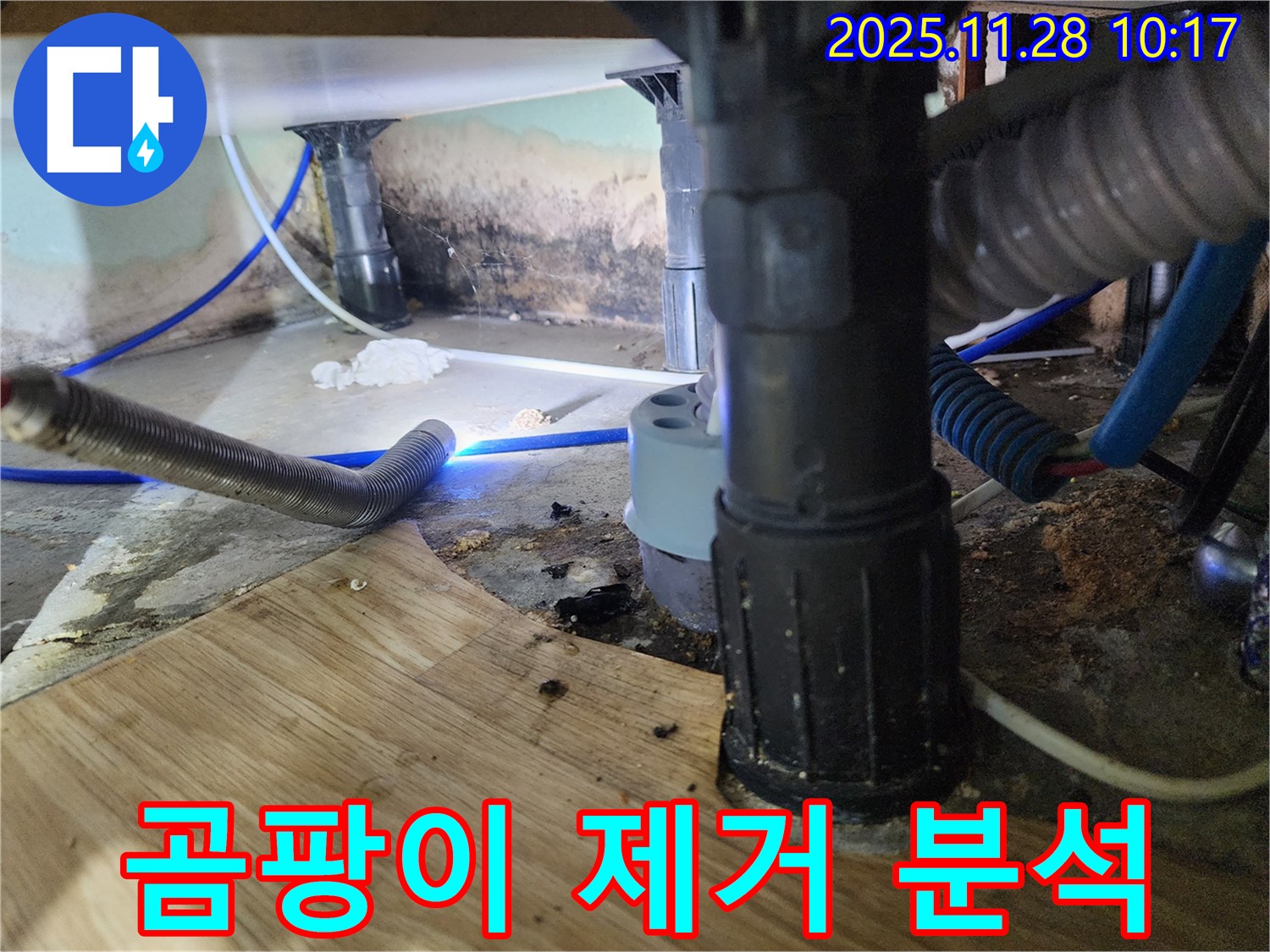 경기도 포천시 신북면 금동리 - 욕조 하부의 곰팡이를 제거하고 누수 원인을 꼼꼼하게 분석하고 있습니다.