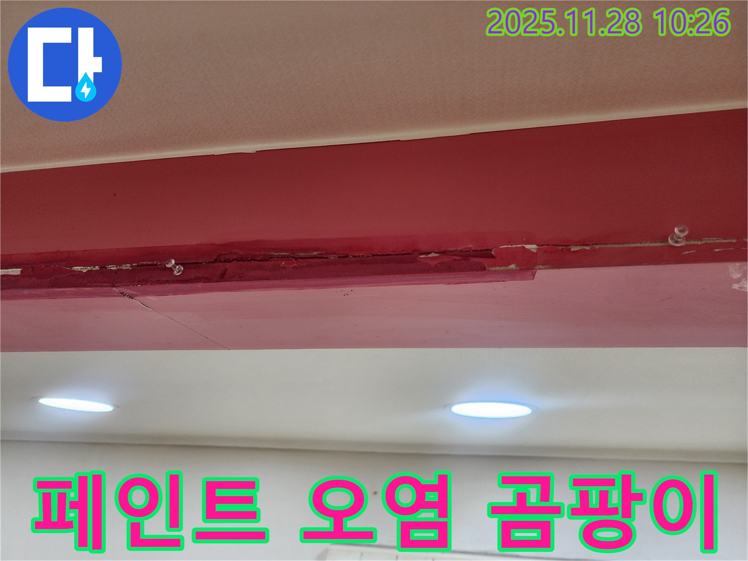 붉은색 천장 페인트 오염 곰팡이 - 누수로 인해 페인트가 곰팡이와 물때로 뒤덮여 실내 공기를 탁하게 만들고 있습니다.