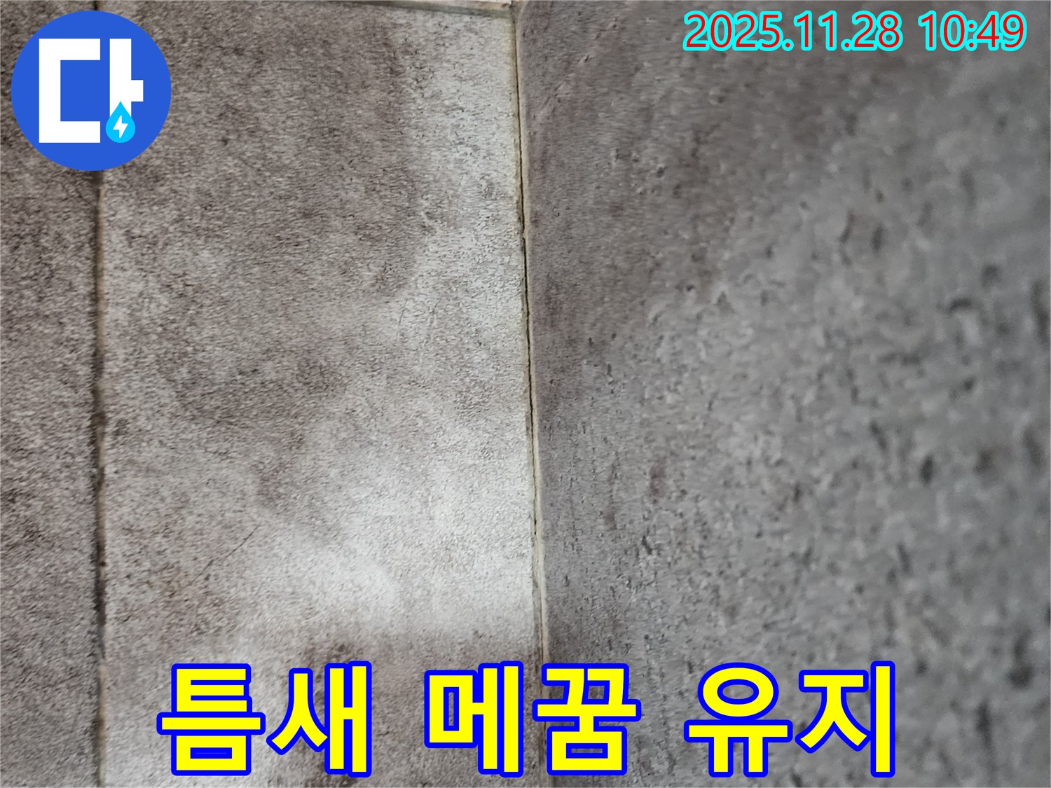 신북면 욕실 곰팡이 누수 - 틈새 메꿈 전문가의 완벽한 시공 후 곰팡이 방지 실리콘 시공으로 오랫동안 곰팡이 걱정 없이 깨끗하게 유지!