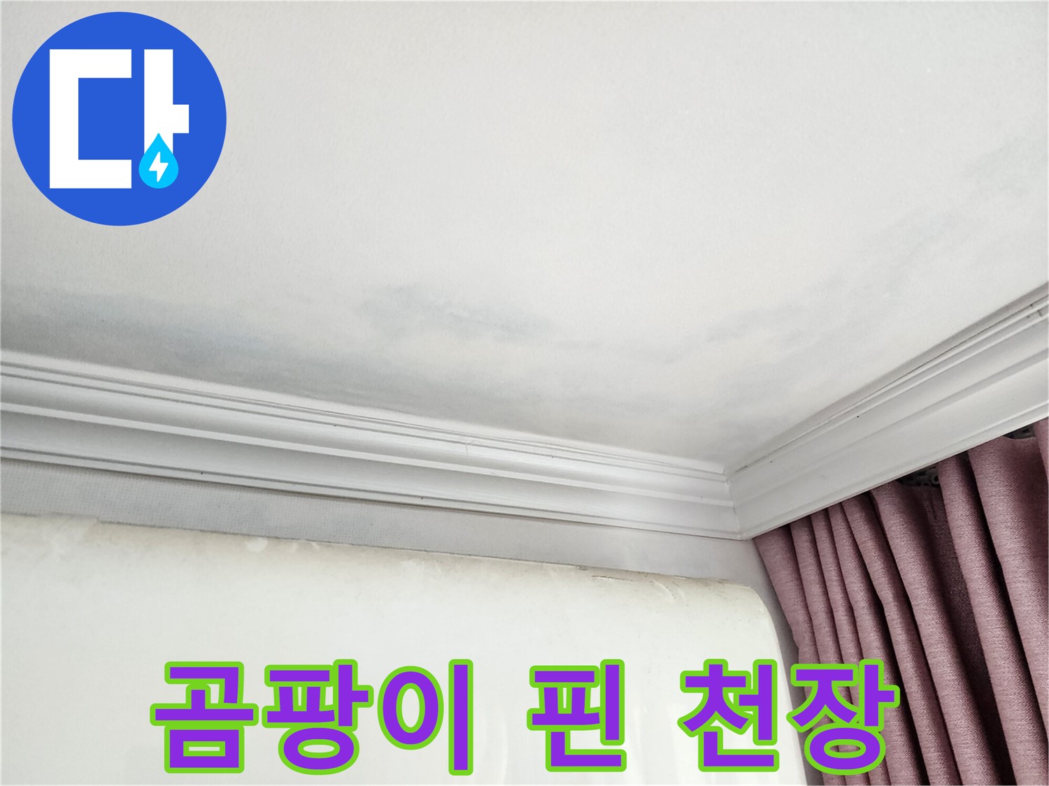 상대원동 아파트 천장 곰팡이 - 긴급 누수 점검 및 원인 파악