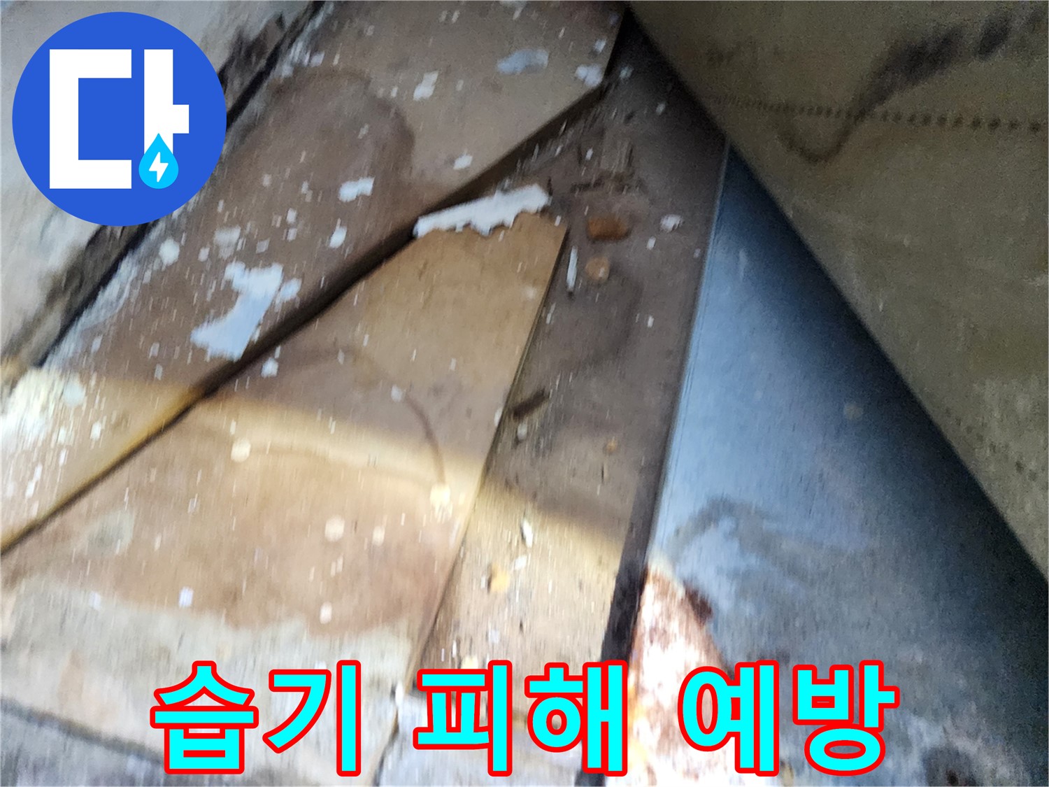 수원 누수 - 장안구 영화동 삼성아파트, 습기로 인한 2차 피해 예방