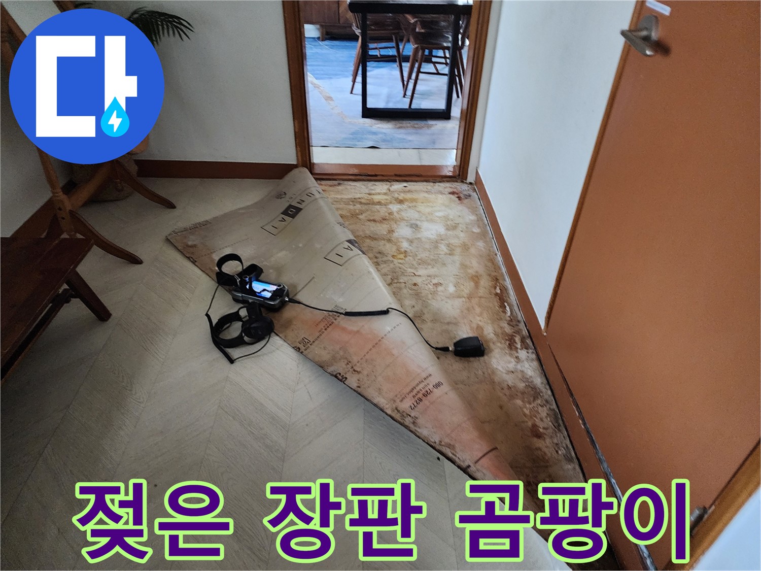광진구 동일로 누수 현장 - 젖은 장판은 곰팡이의 온상입니다 - 건강을 위해 빠른 누수 해결이 필요합니다.