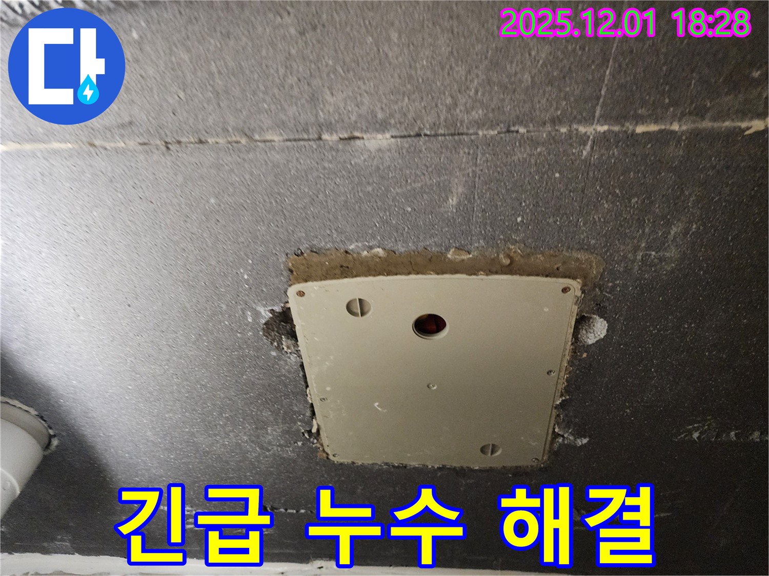 포천 이동면 긴급 누수 - 연곡리 점검구 주변 누수, 신속하게 해결 완료!