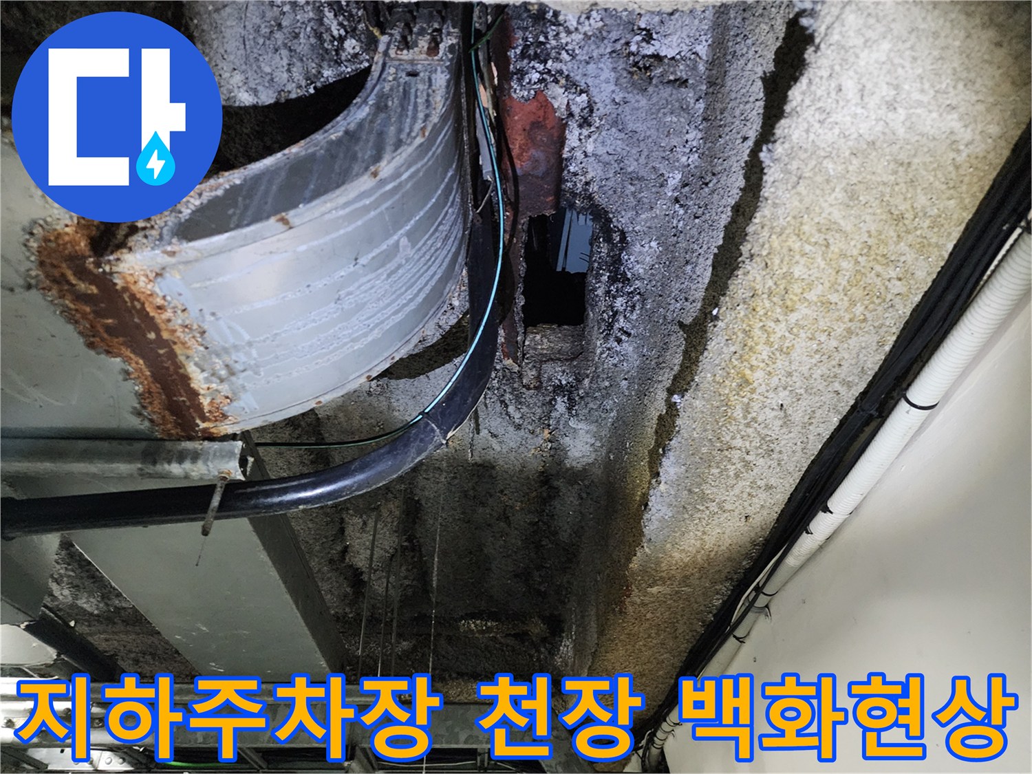 지하 주차장 슬래브-백화 현상이 발생한 천장 모습