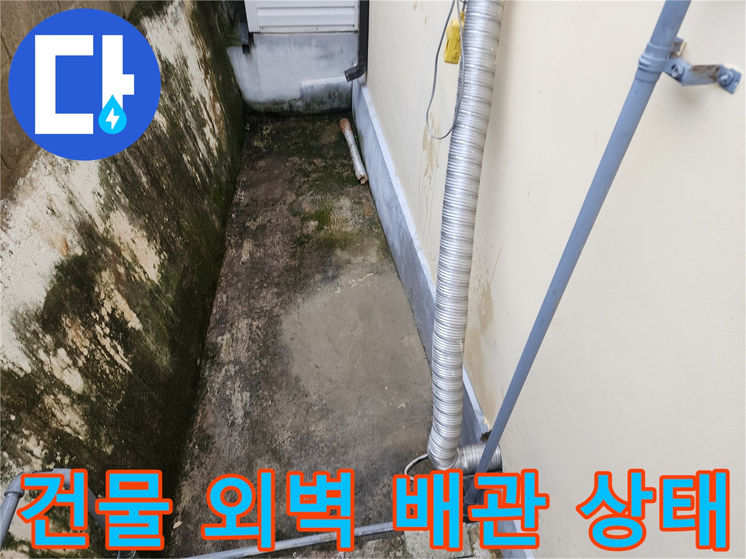 포천 일동면 건물 외벽에 설치된 금속 배관과 습기로 인해 이끼가 낀 벽면 모습