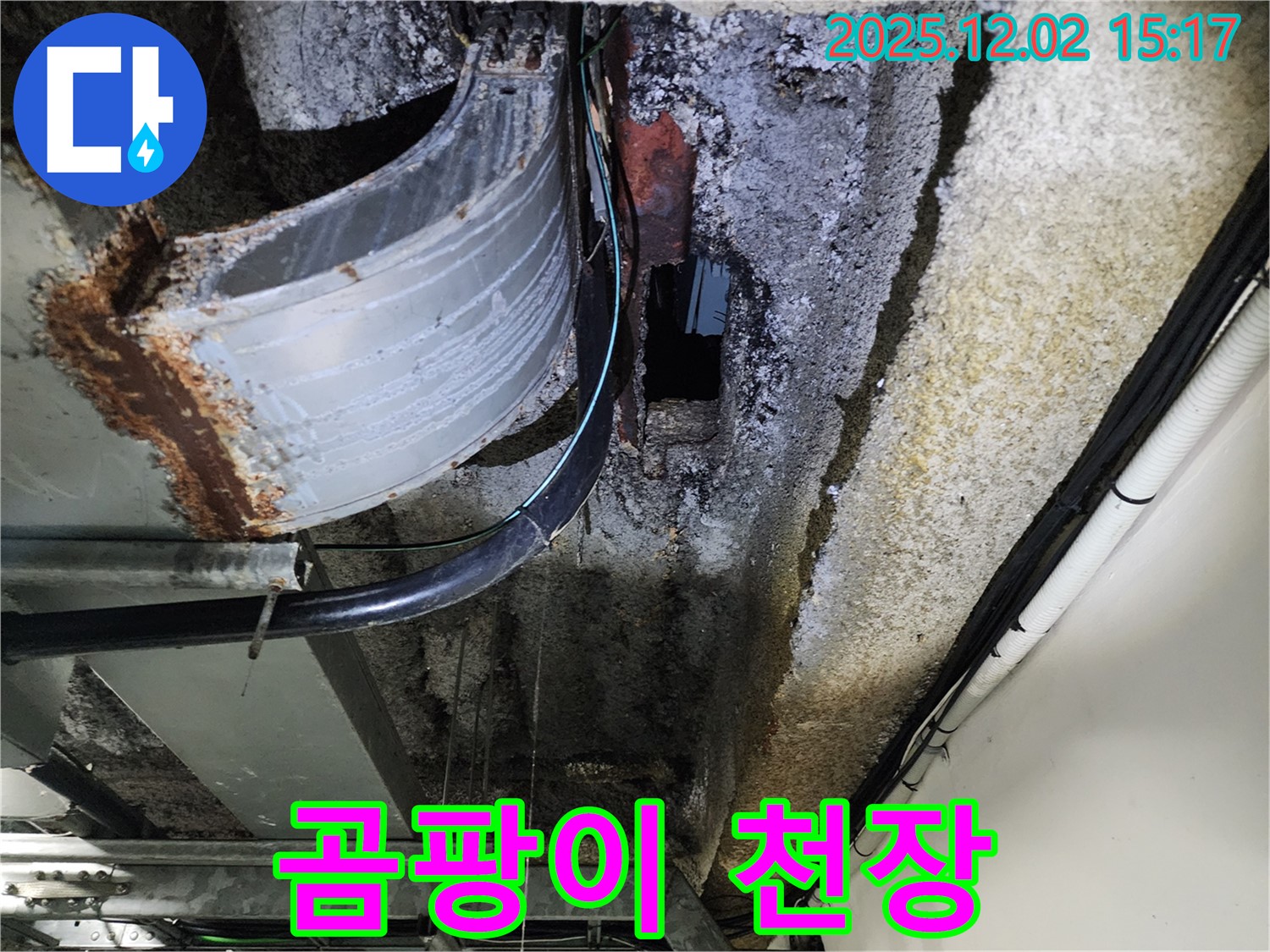 포천시 일동면 길명리 누수 - 곰팡이로 뒤덮인 천장 건강에 치명적일 수 있습니다