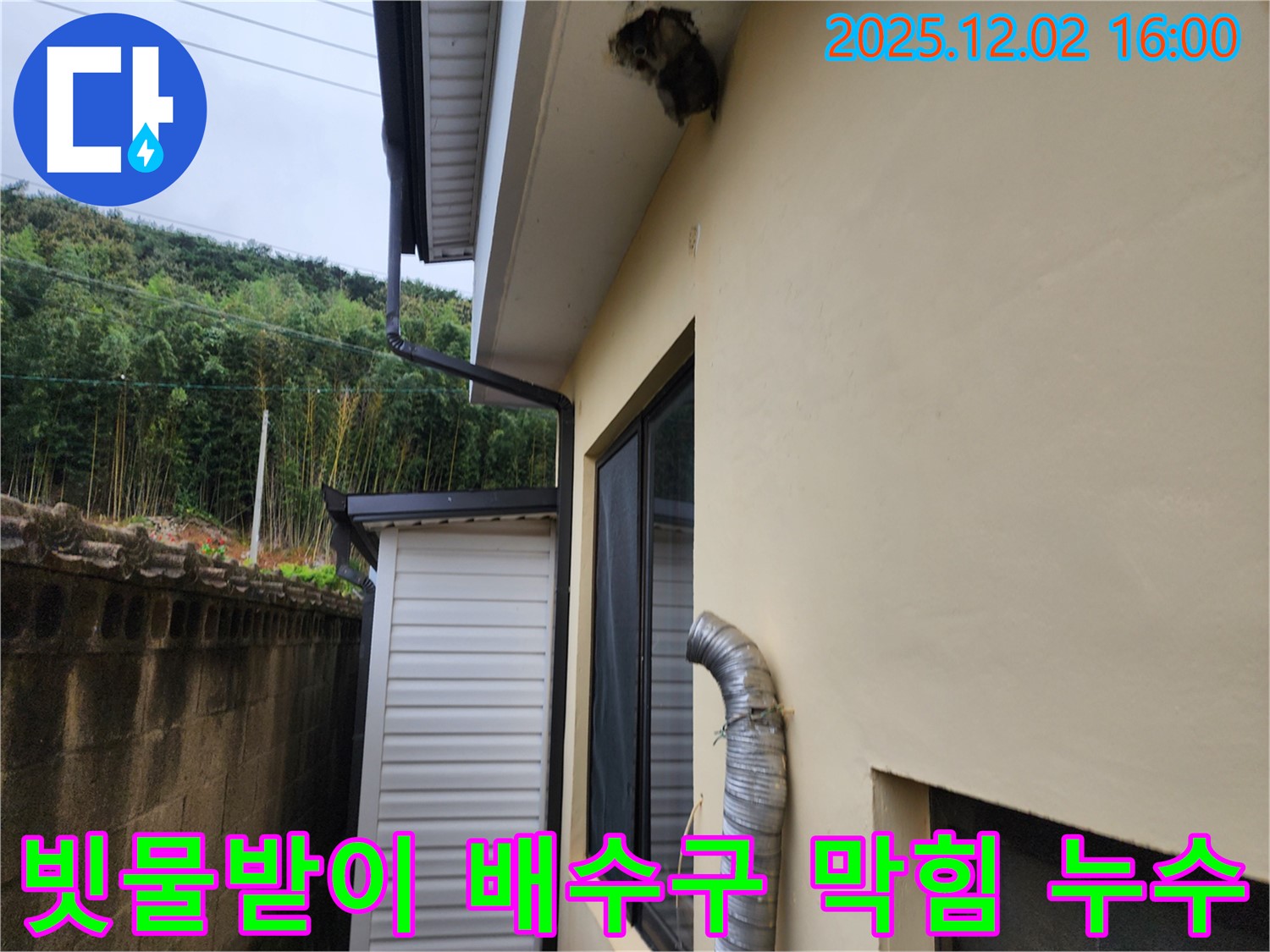 포천시 일동면 주택 빗물받이 하단 배수구 막힘으로 인한 외벽 오염 및 누수 - 배수구 청소 및 외벽 세척으로 해결