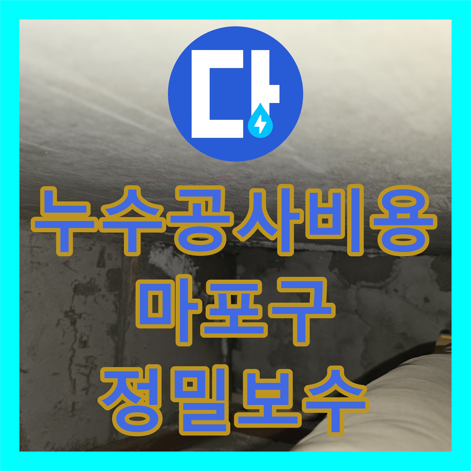 누수공사비용이 궁금한 아랫집 화장실 천장 누수 문제, 정확한 탐지부터 공사 과정까지 - 서울 마포구