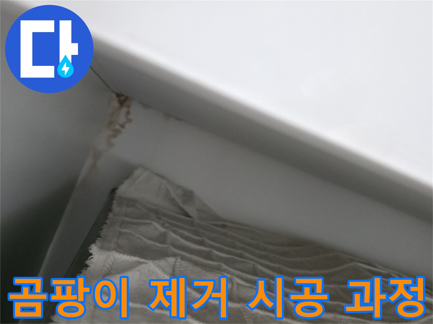 마포구 중동 건영 월드컵 아파트 곰팡이 제거 시공 과정 - 꼼꼼한 작업