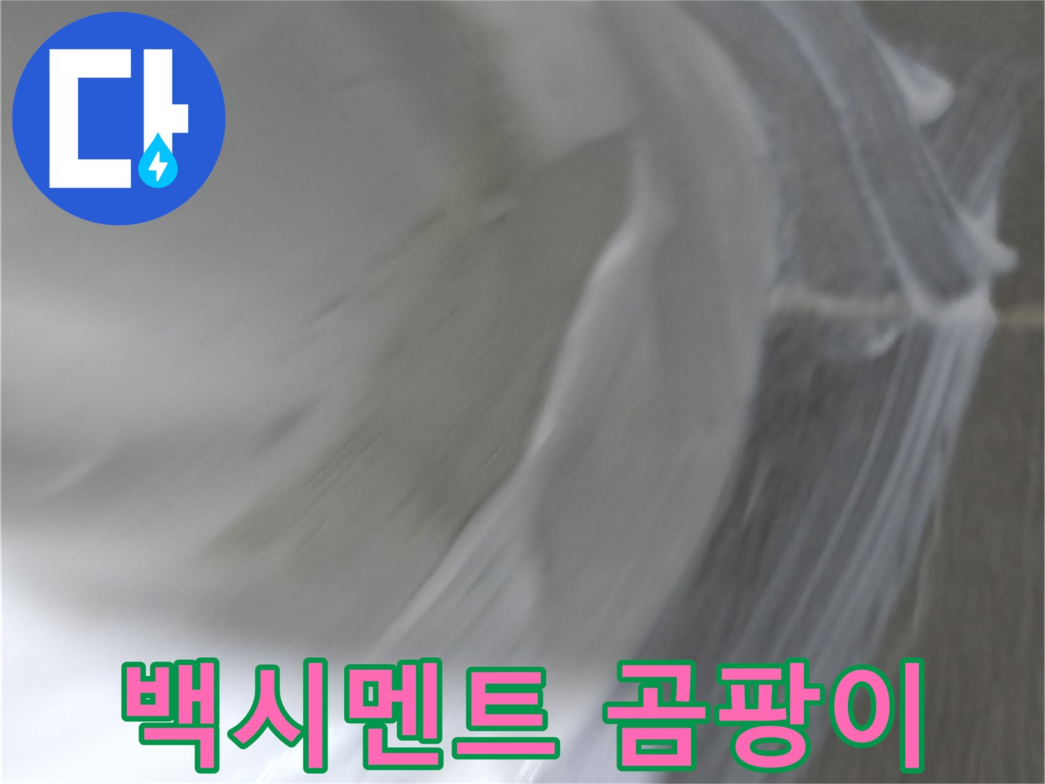 마포구 중동 건영 월드컵 아파트 누수 - 백시멘트 시공으로 곰팡이 걱정 없이 쾌적한 욕실을 만들어 드립니다.