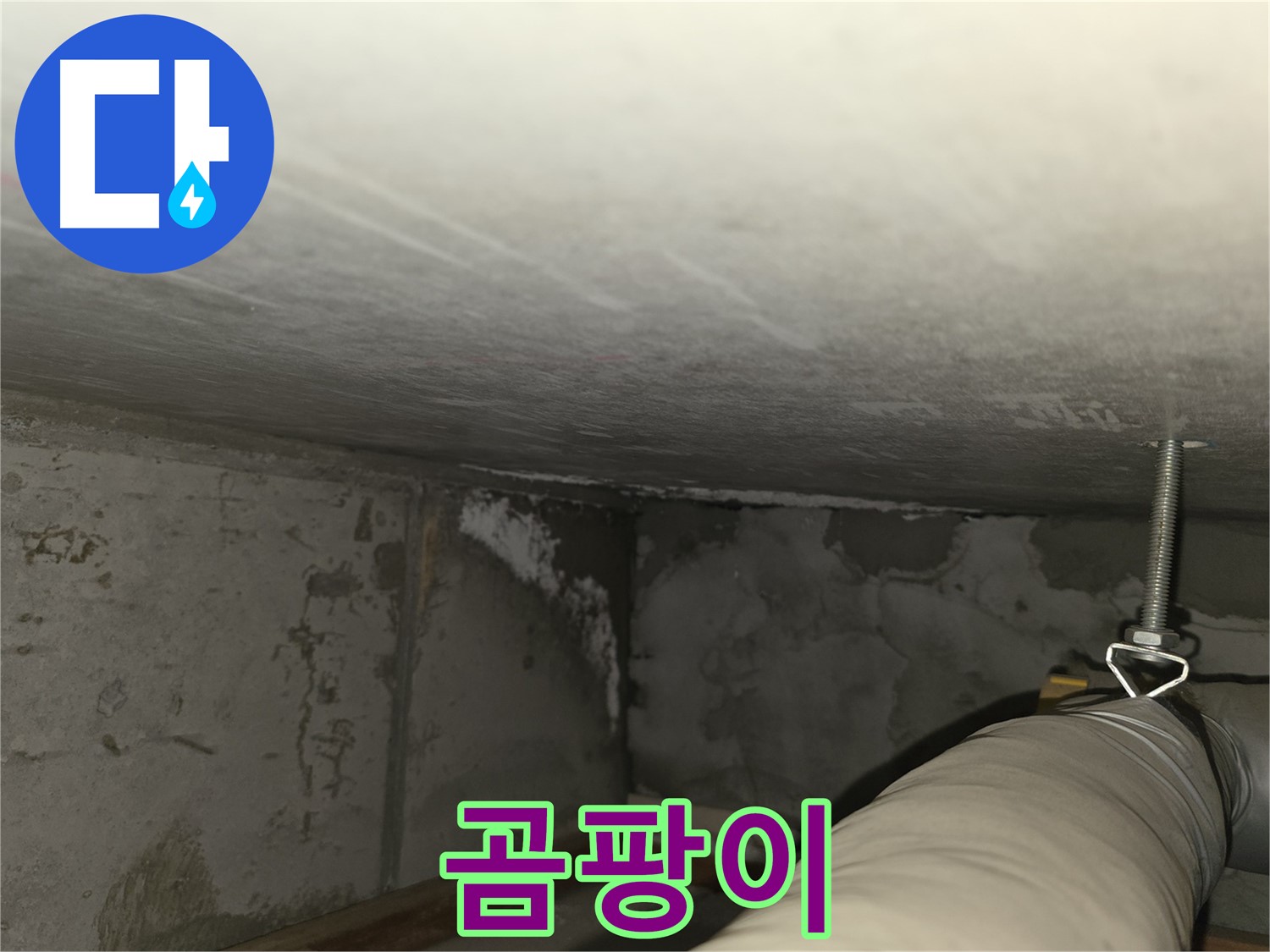 중동 건영월드컵 아파트 곰팡이 - 누수 해결 후 곰팡이 제거 필수