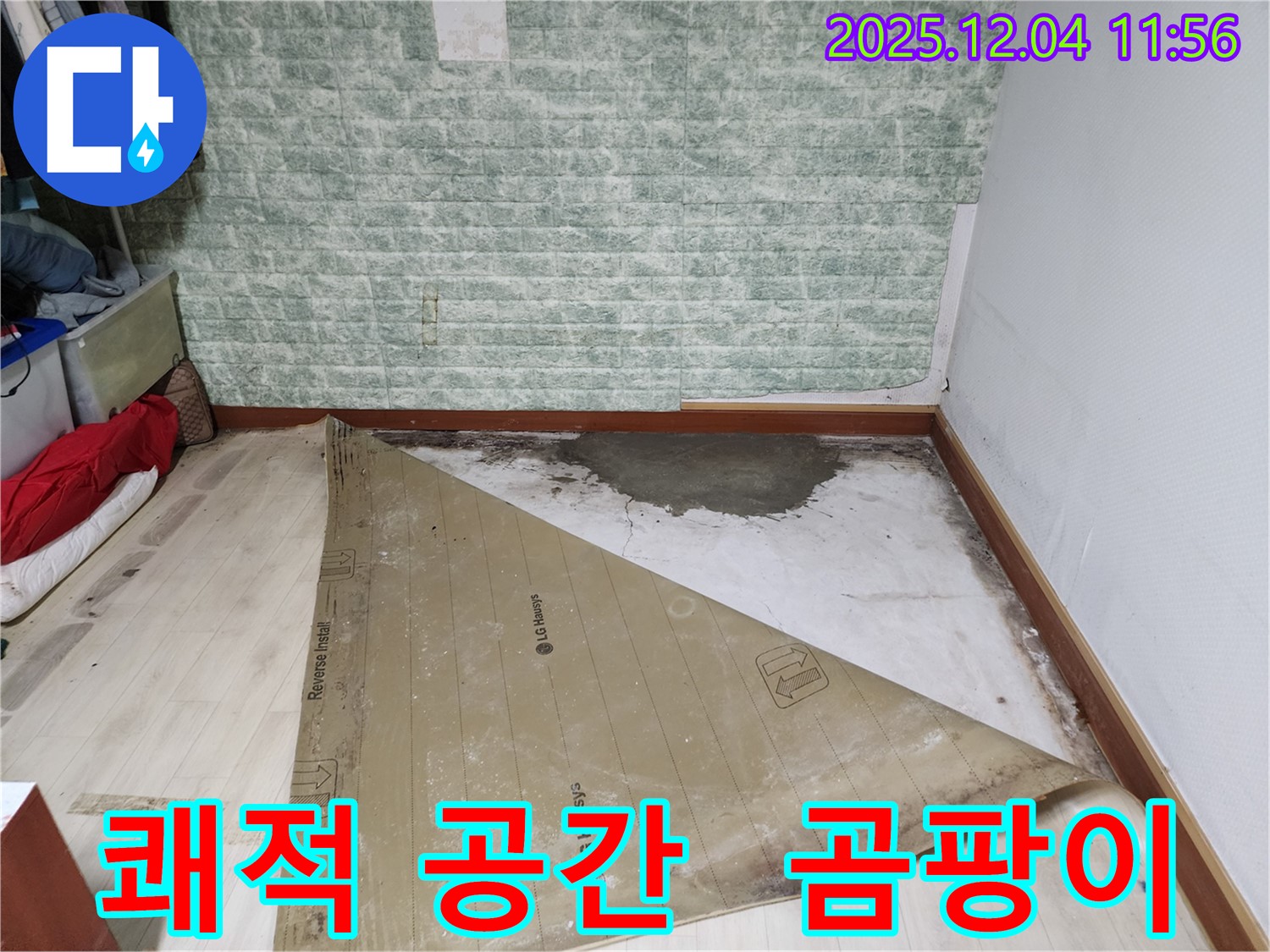 일동면 누수 - 곰팡이 가득한 썩은 바닥 쾌적한 공간으로