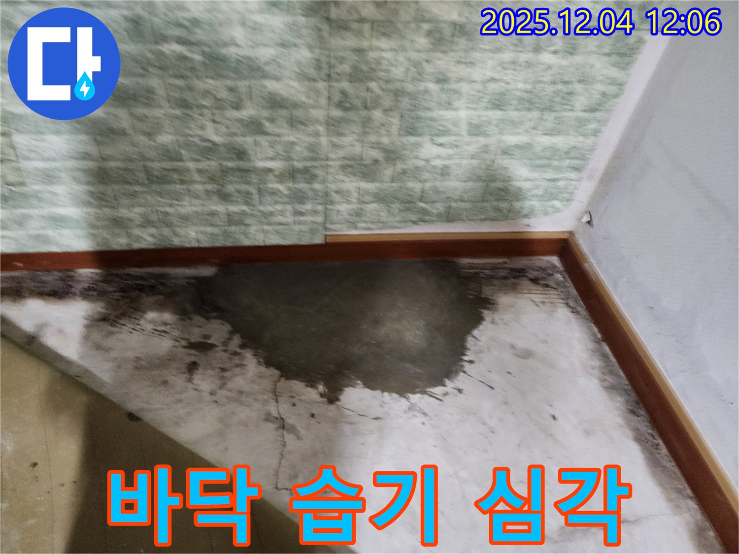 포천시 일동면 기산리 주택 - 바닥 습기 심각, 누수 원인 해결
