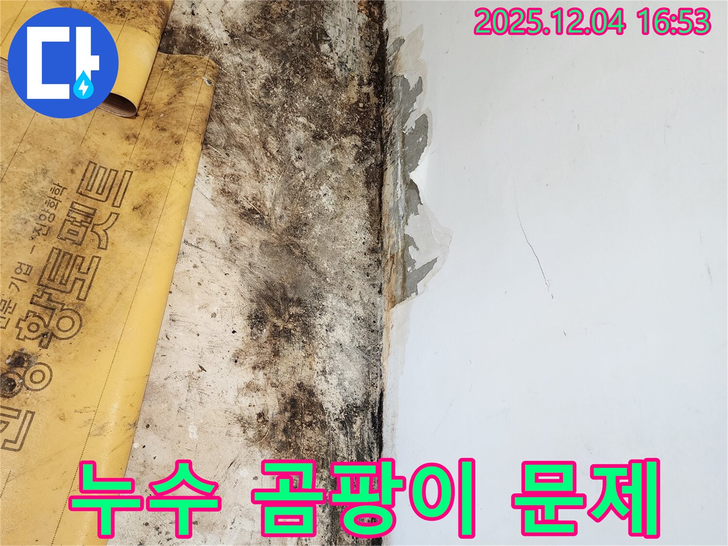 누수와 곰팡이 문제 - 꼼꼼한 시공으로 해결