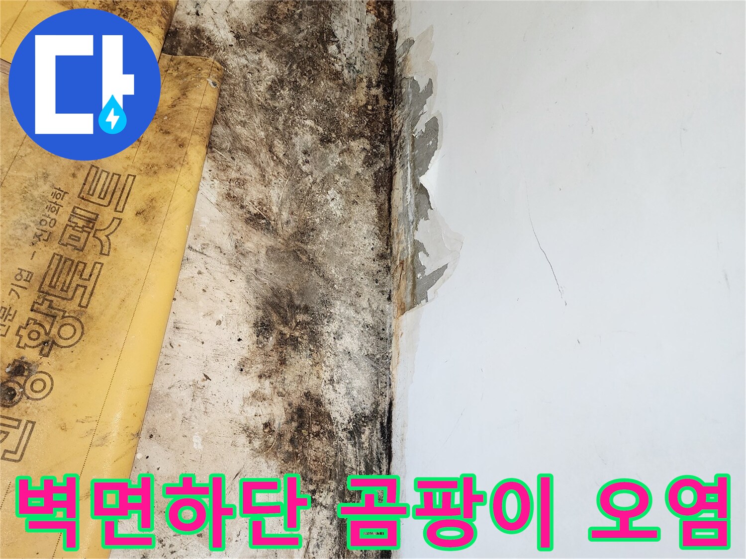 포천 일동면 현장의 벽면 하단 곰팡이와 습기 오염 상태