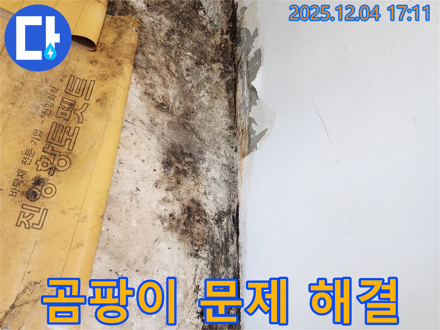 포천시 일동면 화대리 503번지 누수 - 곰팡이 문제 해결 후 쾌적해진 공간
