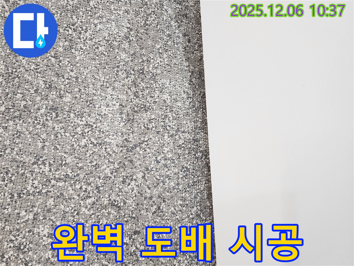 젖은 벽지 - 곰팡이 제거 - 완벽 도배 시공