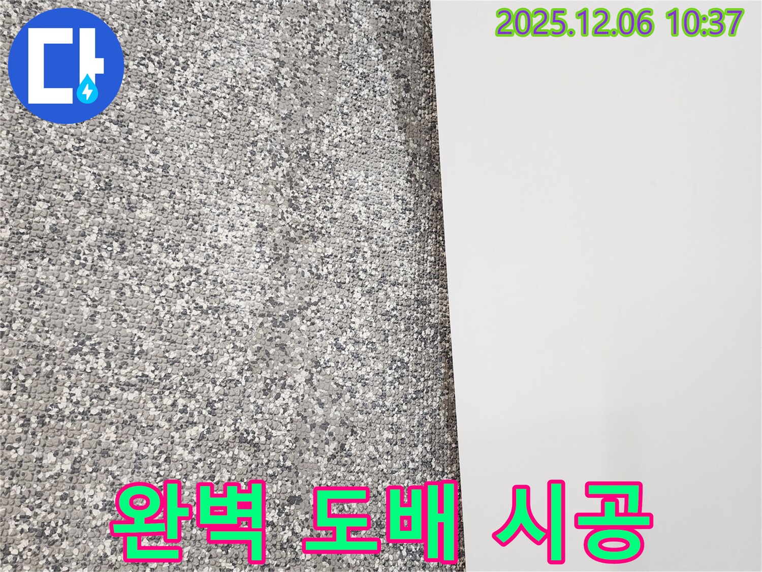젖은 벽지 - 곰팡이 제거 - 완벽 도배 시공