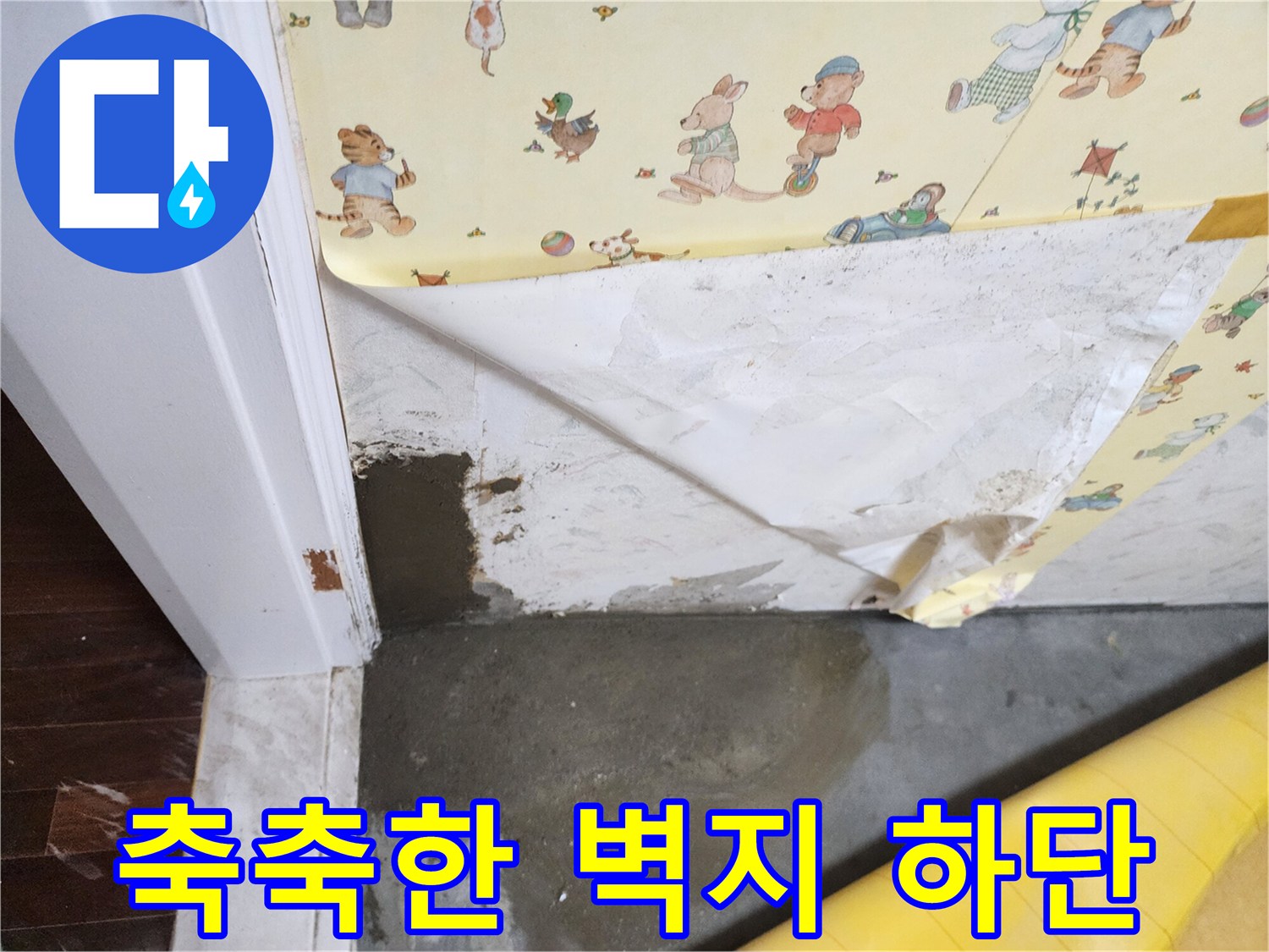 물기에 젖어 변색된 벽지와 축축한 바닥 접합부