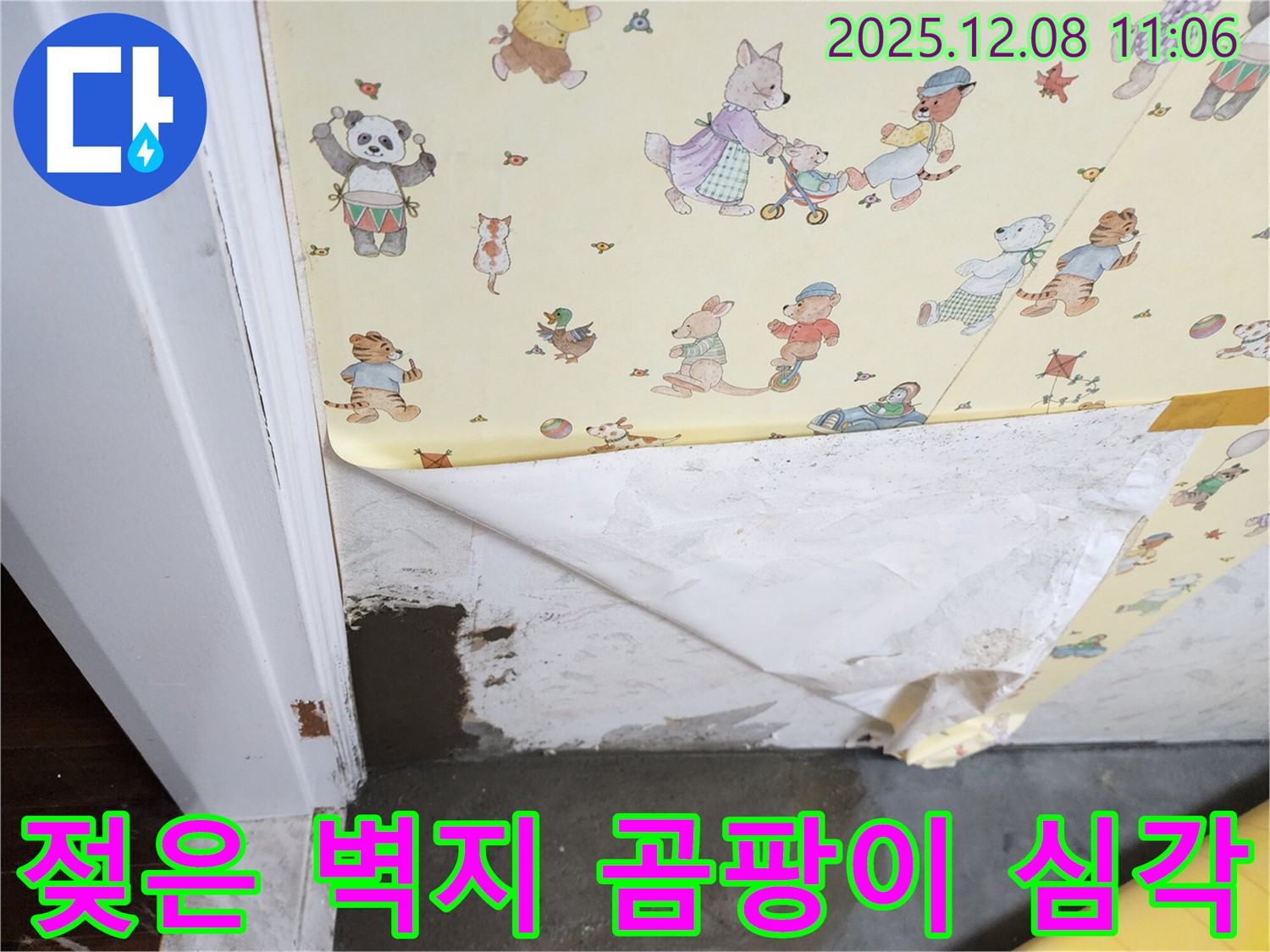 포천 영중면 거사리 누수 현장 - 젖은 벽지, 곰팡이 핀 벽지, 심각한 누수 상황