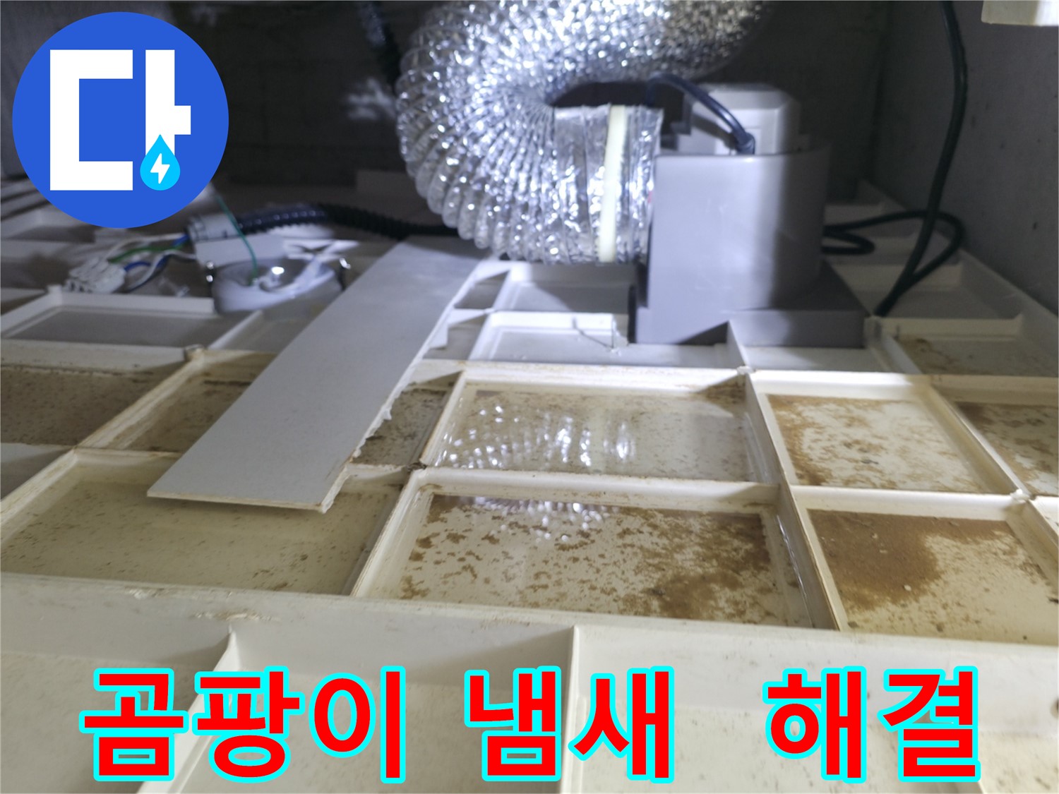 천장 속 누수 해결 - 곰팡이 냄새 제거 및 완벽 해결