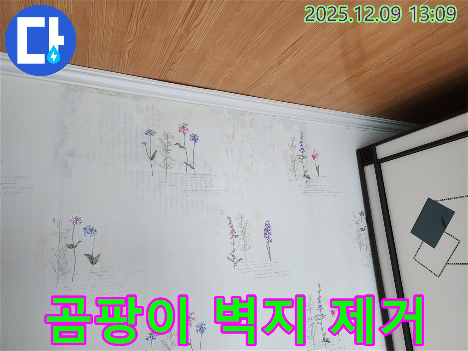 곰팡이 벽지 - 누수 원인을 찾아 곰팡이를 확실하게 제거하고 재발을 방지합니다.
