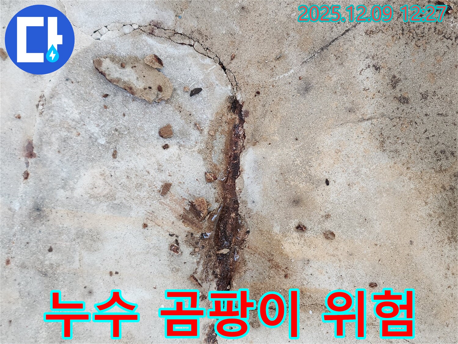 누수로 인해 곰팡이가 발생할 수 있는 환경 - 건강에 해로운 영향을 미칠 수 있습니다.