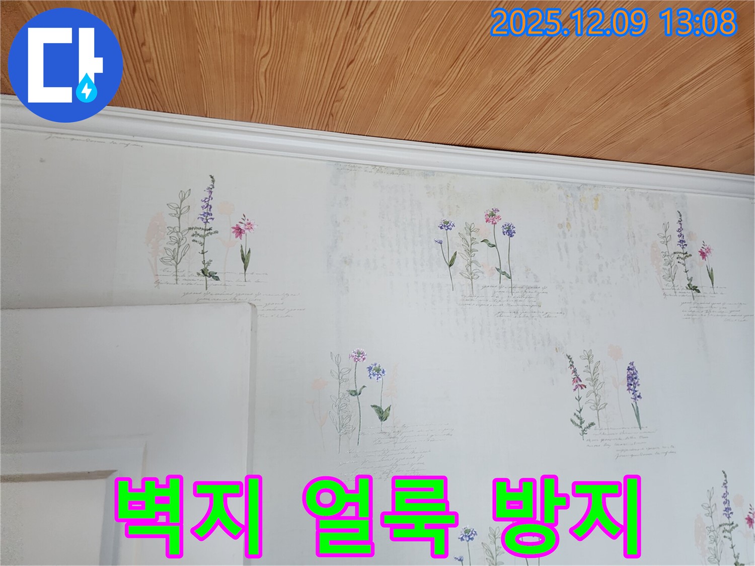 벽지 얼룩 제거 - 재발 방지 - 전문 시공