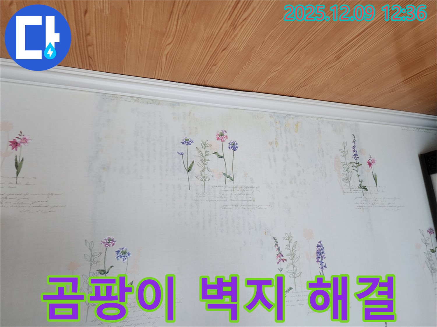 성동리 누수 문제 해결 전문 - 곰팡이 벽지 문제의 근본 원인인 누수를 확실하게 해결하는 완벽한 누수 공사