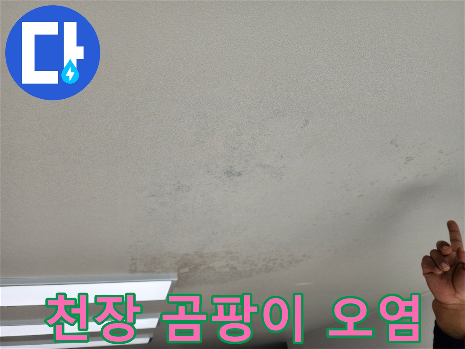 천장 넓은 부위에 발생한 곰팡이와 물 번짐 흔적