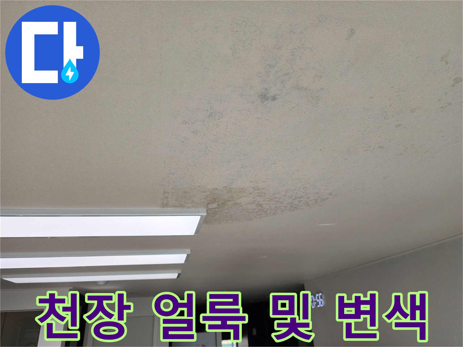 포천 성동리 현장의 천장 벽지 얼룩과 곰팡이 흔적