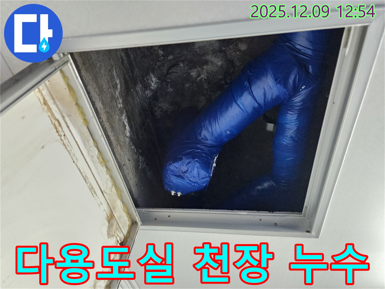 포천 영중면 다용도실 천장 누수 - 윗집 하수구 문제 의심