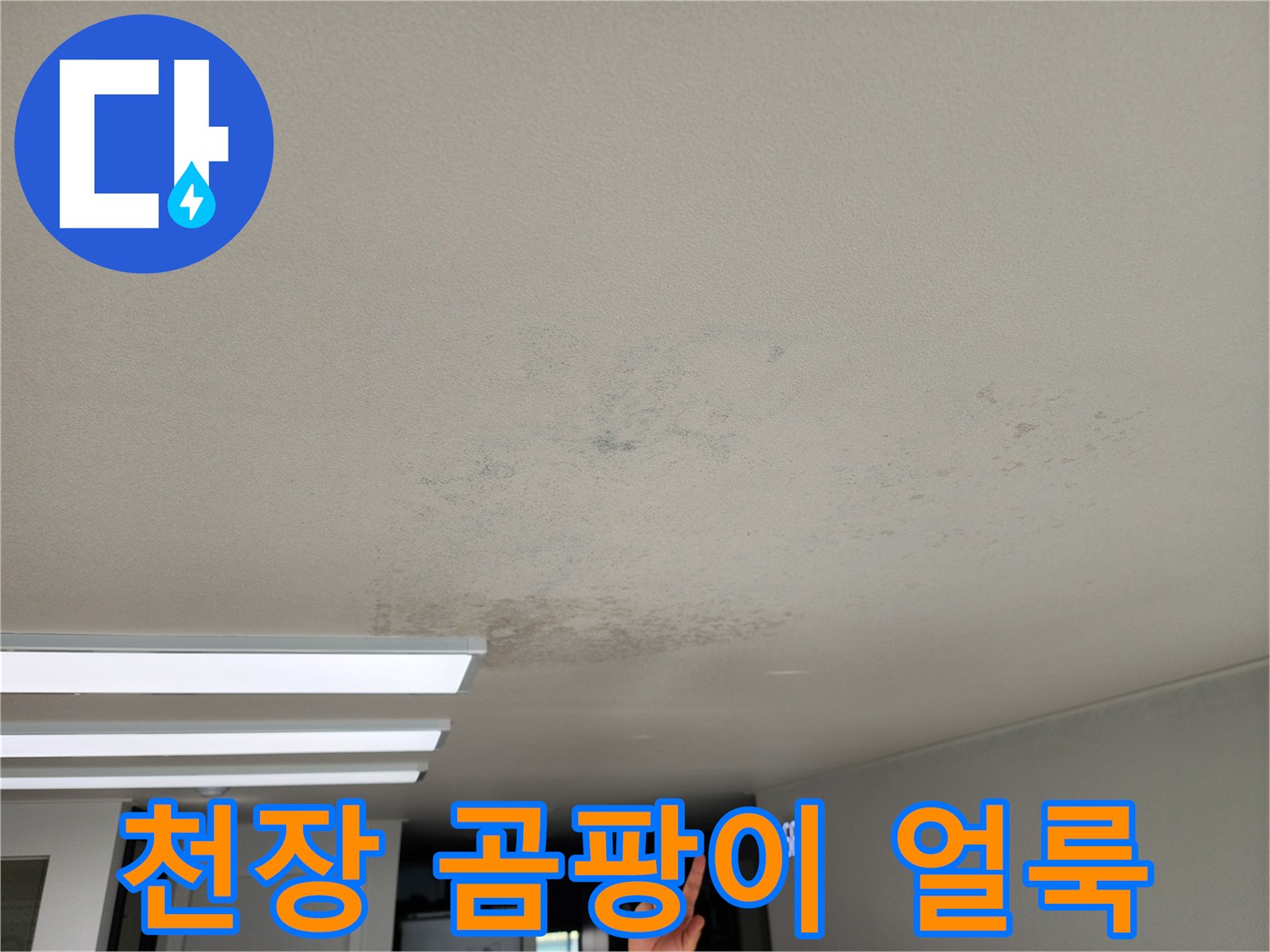 포천 영중면 현장의 천장 곰팡이와 얼룩 상태