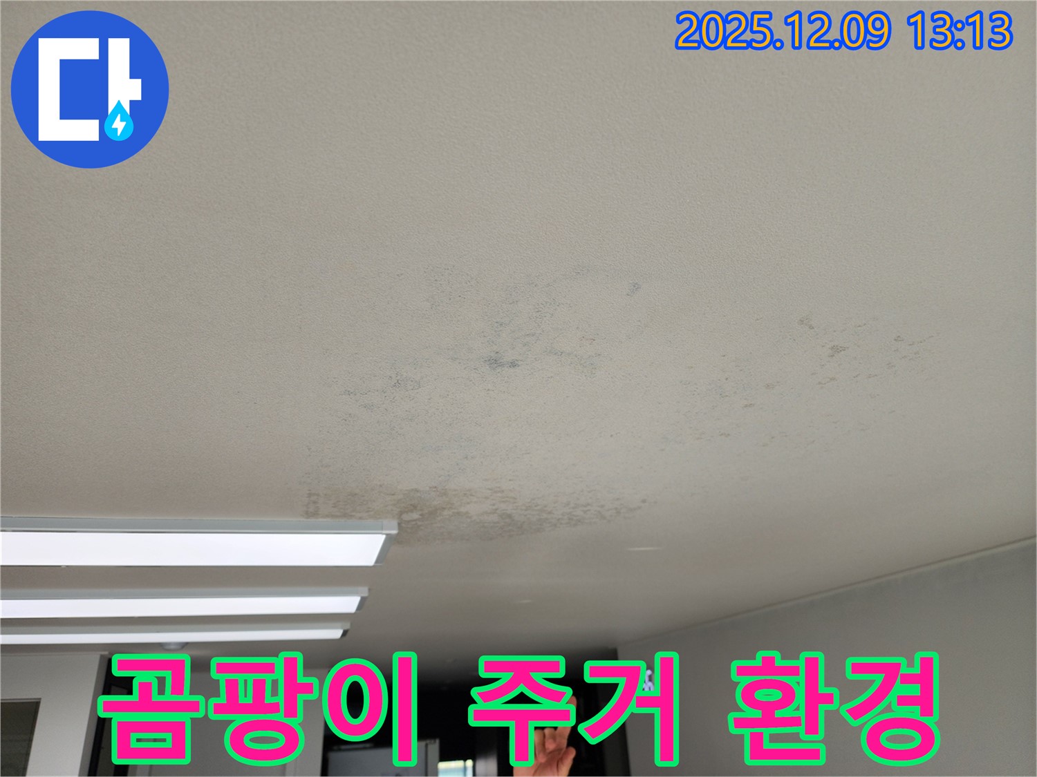 포천시 영중면 - 곰팡이, 쾌적한 주거 환경을 파괴하는 천장 누수