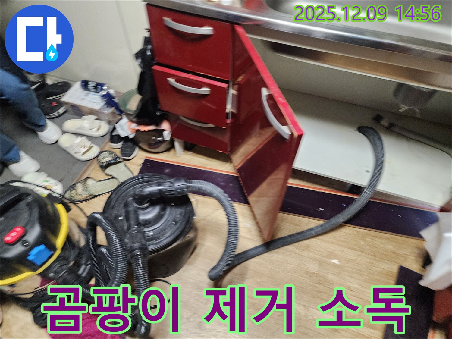 싱크대 하부 곰팡이 제거 - 살균 소독으로 위생적인 환경