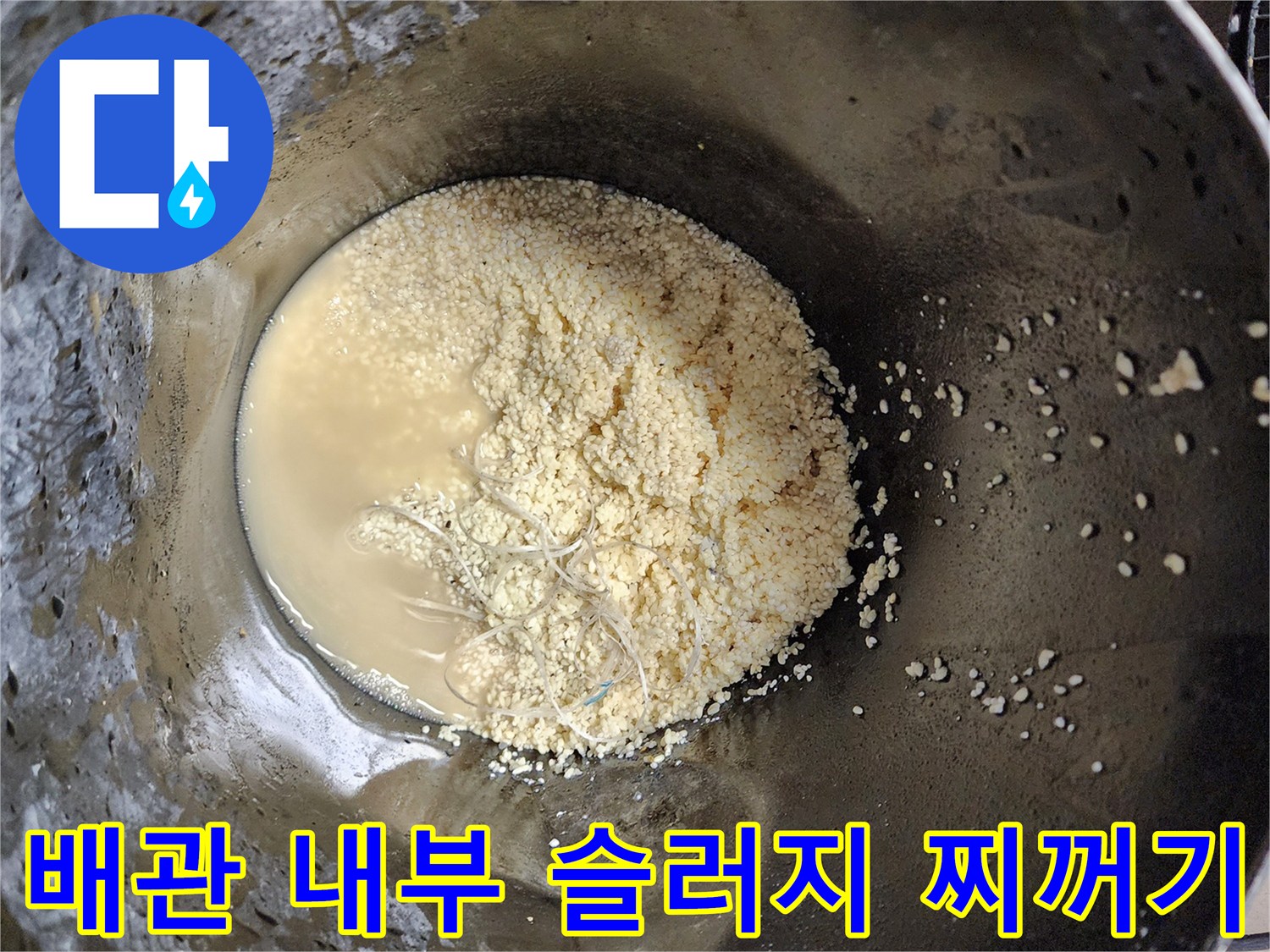 석션 장비로 뽑아낸-배관 내부의 유지방 덩이와 오물 찌꺼기
