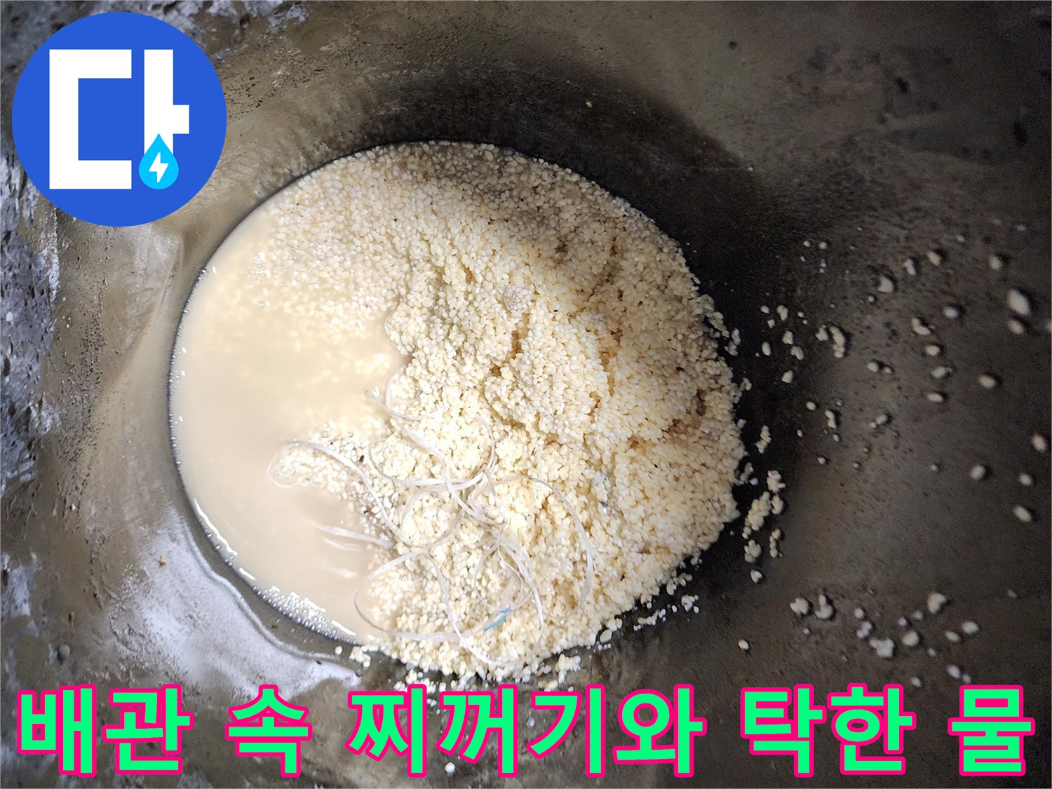 싱크대 배관 내부에서 추출된 기름 슬러지와 탁한 오수
